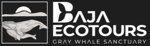 Baja Ecotours