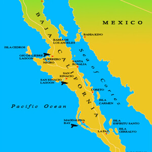 Map of San Ignacio Lagoon - Baja Ecotours