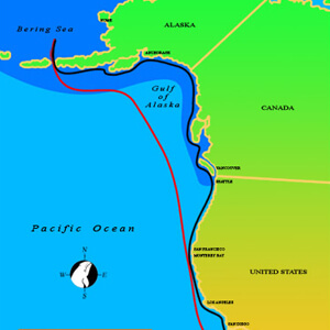  Gray Whale Migration Map 