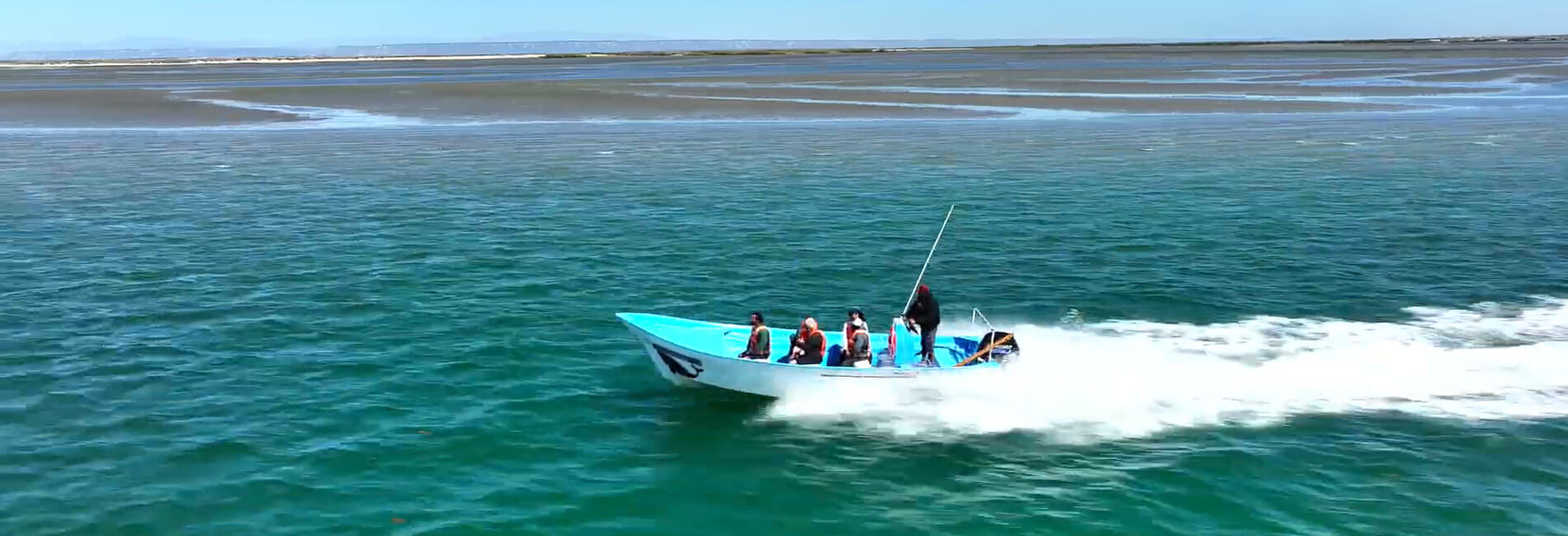 boat on san ignacio lagoon header