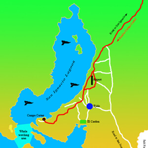 Map of the San Ignacio Lagoon 
