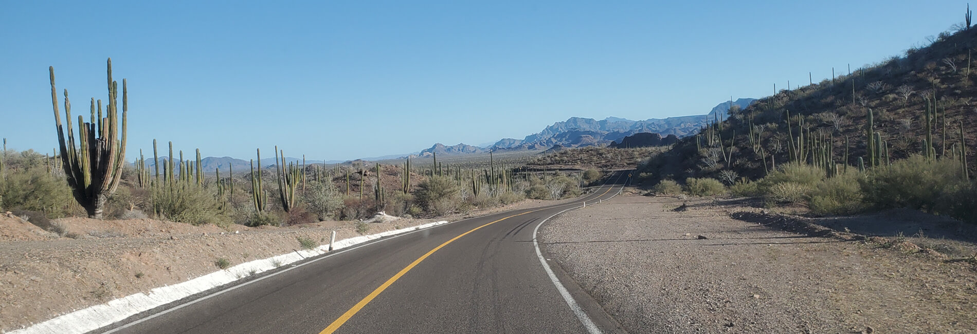 the road to san ignacio lagoon header