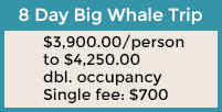 Baja Ecotours 8 Day Whale Watching Trip