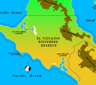 Vizcaino Biosphere Reserve Map