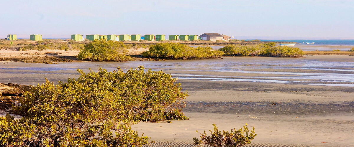 campo cortez ecolodge