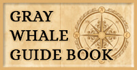 Gray Whale Watching Handbook