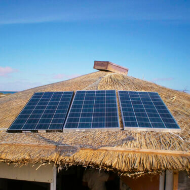 solar panels on the palapa