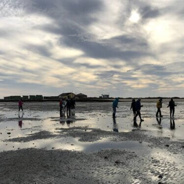Low tide walk at Campo Corte