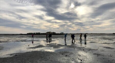 Low tide walk at Campo Corte