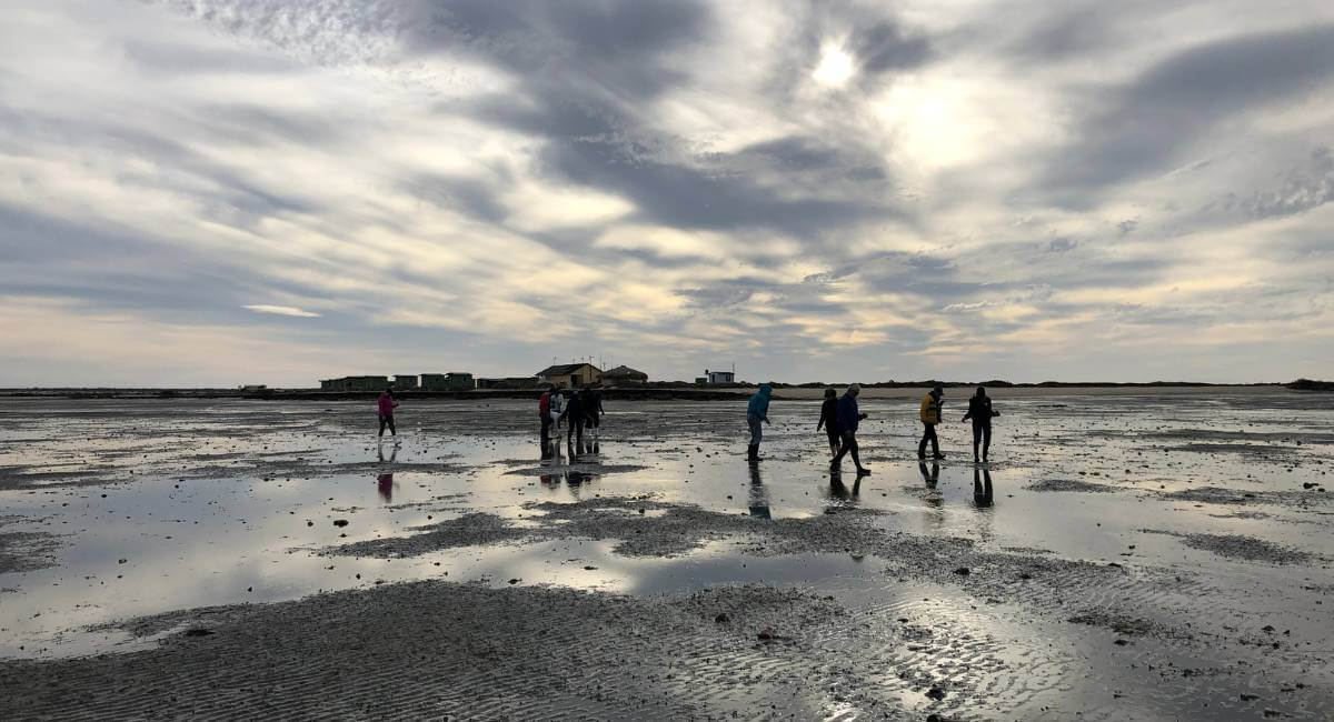 Low tide walk at Campo Corte