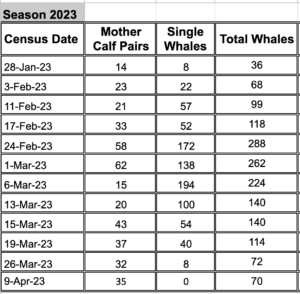2023 Whale Census