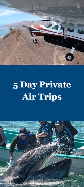 5 day air trip