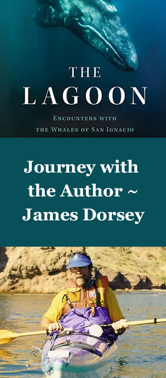 james dorsey trip