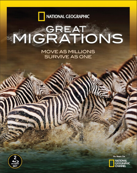 National Geographic Great Migrations