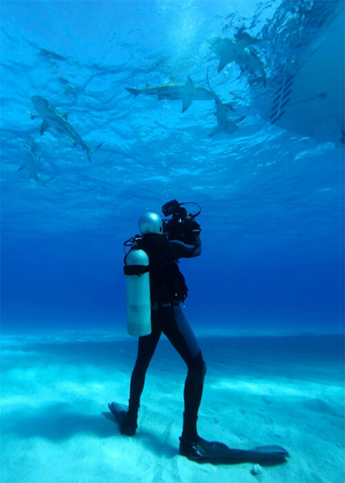 johnny friday underwater photographer