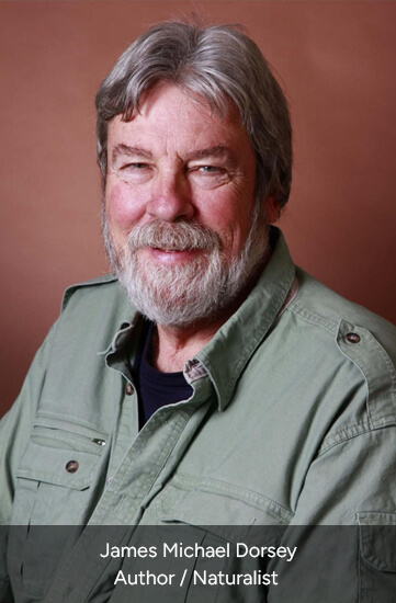 James Dorsey