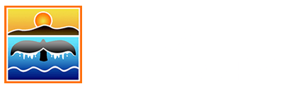 Baja Ecotours