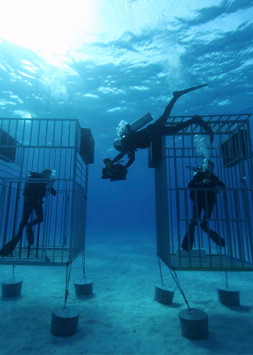 johnny friday underwater photographer